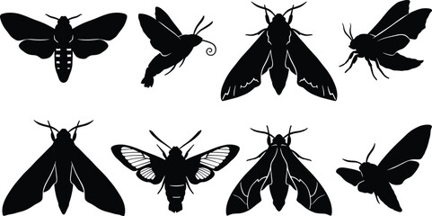 Black silhouettes of various moths and butterflies on white background, insects © Md