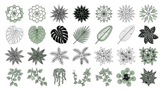 A collection of various plant and floral illustrations, including leaves, flowers, and botanical patterns