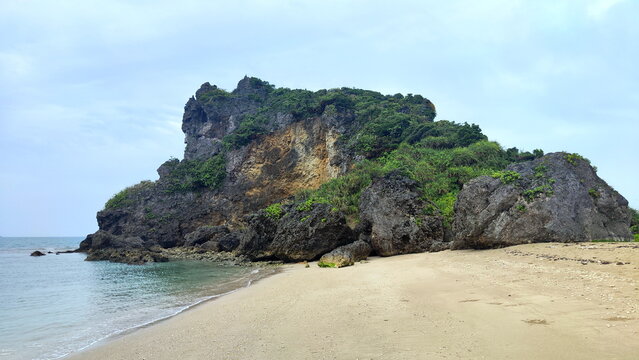 Sandy beach with large group of rocks covered with various plants
