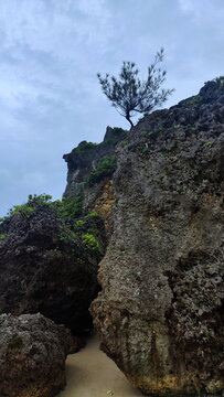 Group of Rocks with Tree on Top of them