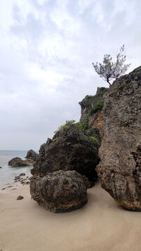 Group of Rocks with Tree on Top of them