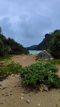 Trail to the Wild Beach between Hills