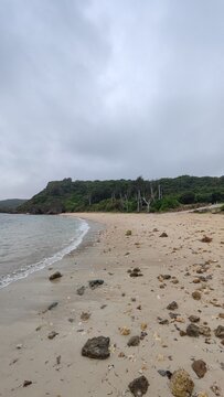 Deserted Beach with Small Stones and Different Trees