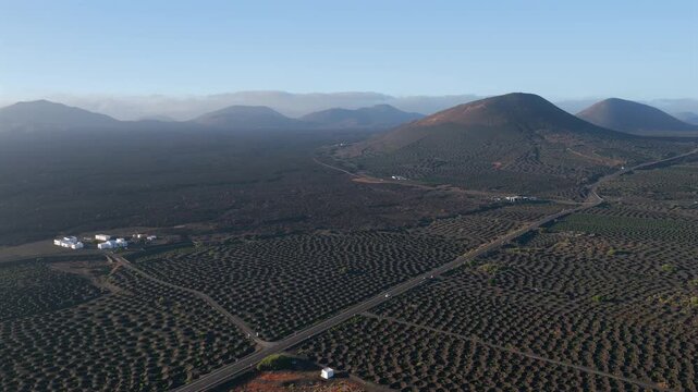 Aerial Sunset View of the Volcanic Vineyards and Ash Craters in La Geria Lanzarote