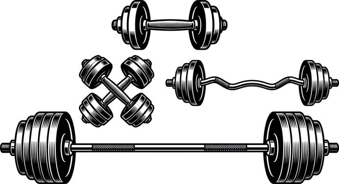 Vintage Gym Barbell and Dumbbell Vector Collection with Detailed Engraving Lines for Retro Fitness Branding Powerlifting Emblems and Weightlifting Graphic DesignsVintage Gym Barbell and Dumbbell Vecto