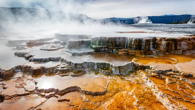 Scenic terraces at Mammoth Hot Springs