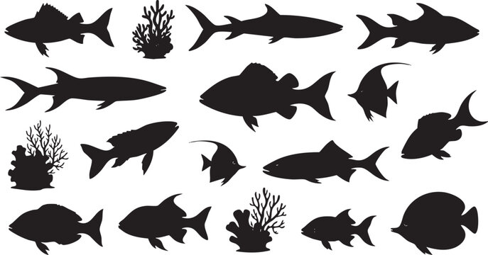 Black silhouettes of sea creatures including sharks whales and fish on white background