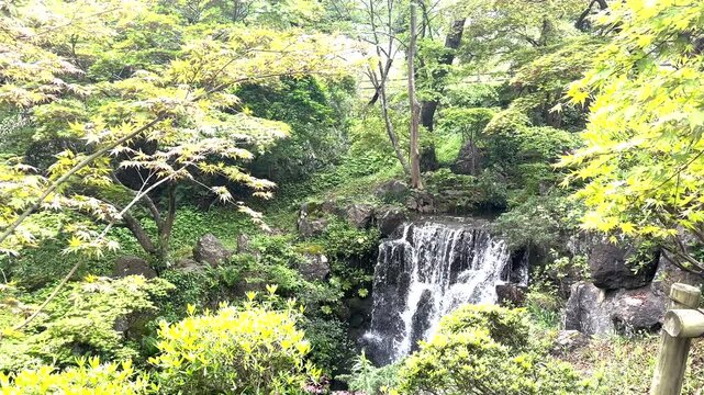 滝が流れる美しい日本の自然風景　山中