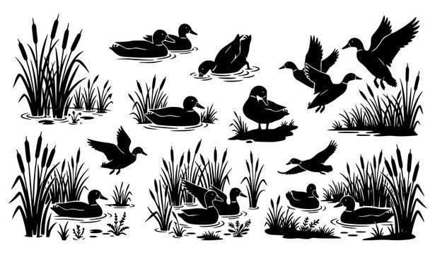 Wetland Birds and Ducks Silhouette Collection with Reeds Marsh Nature Scenes