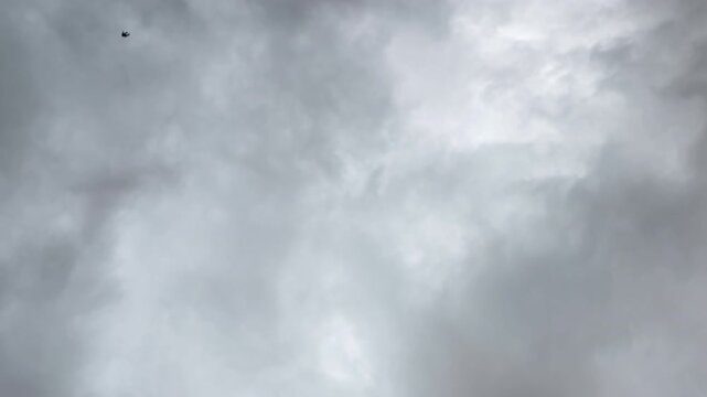 Ominous dark storm clouds spin the sky while a single dark bird flies toward the ground creating an eerie visual