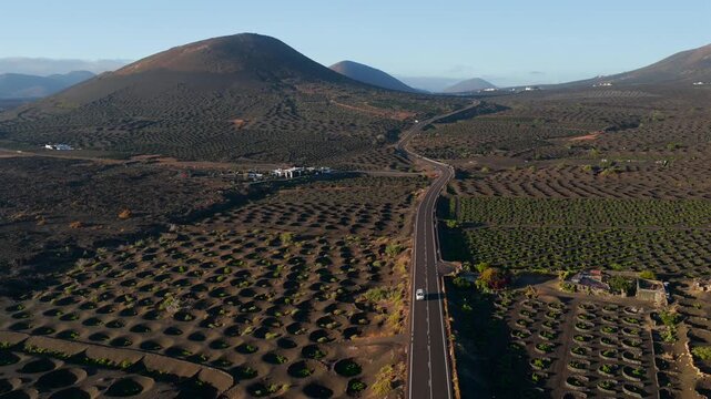 Aerial Sunset View of the Volcanic Vineyards and Ash Craters in La Geria Lanzarote