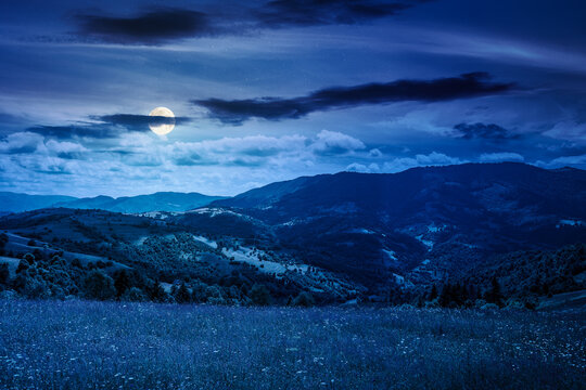 mountain landscape with grassy field at night. full moon over trees on the rolling hills and rural valley beneath a dark sky in the background. mysterious view of carpathian mountains in summer