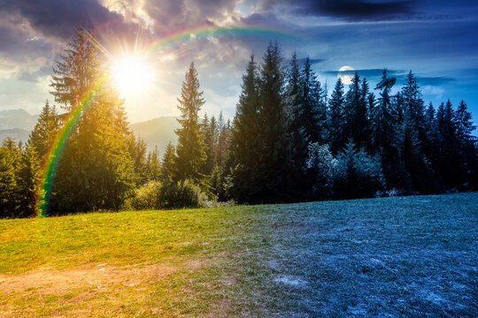 landscape with coniferous forest in summer. day meet night. scenic view of mountain landscape in poland. sun and moon in harmony over spruce trees on a grassy alpine meadow. epic sky above the ridge