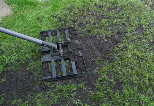 Working top soil into a bumpy lawn with a lawn lute