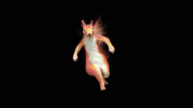 Realistic dancing squirrel performing rumba dance animation with alpha channel transparent background
