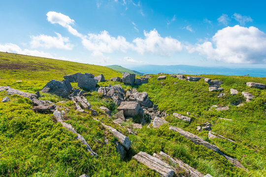 alpine grassy meadow. carpathian mountains landscape with huge boulders. alpine nature scenery of ukraine highlands in summer. view of remote place in mountains