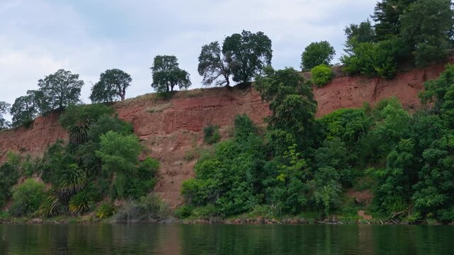 Oak trees on Fair Oaks bluff over river