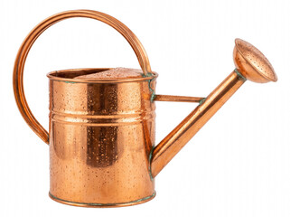 Antique Copper Watering Can with Wet Surface © Masnoon