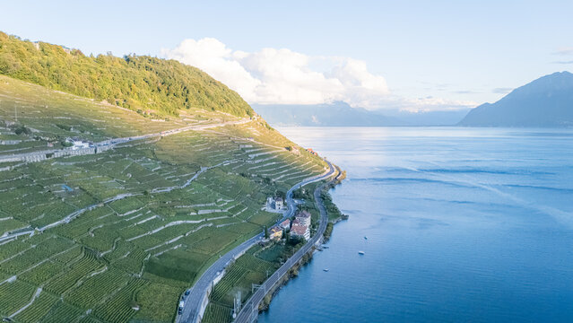 Aerial view of the terraced vineyards of Epesses in the Lavaux region, with a road and railway line running along the shore of Lake Geneva in Bourg-en-Lavaux, Vaud, Switzerland.