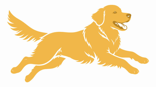 Playful golden retriever dog running and jumping outdoors in a sunny park during daytime
