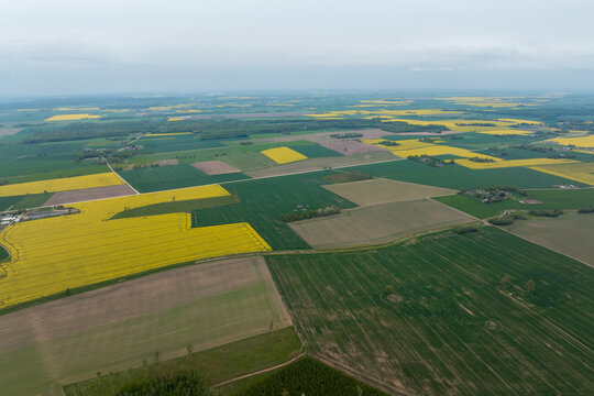 Aerial view shows yellow canola rectangles with green and brown fields, straight rural roads, flat prairie terrain, hazy horizon, overcast light, late spring bloom.