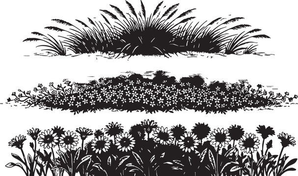 Black and white vector illustration of grass and flower borders for design