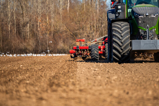 Green tractor tows red disc harrow, carving parallel furrows in fresh soil. White birds trail the implement in crisp afternoon light, ground level perspective.