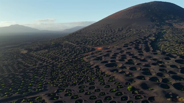 Aerial Sunset View of the Volcanic Vineyards and Ash Craters in La Geria Lanzarote