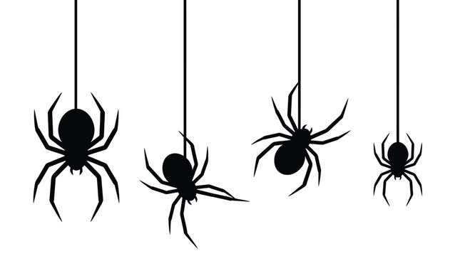 Black silhouette vector illustration of several creepy spiders hanging from thin silk threads on white background