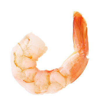 One tasty cooked shrimp isolated on white