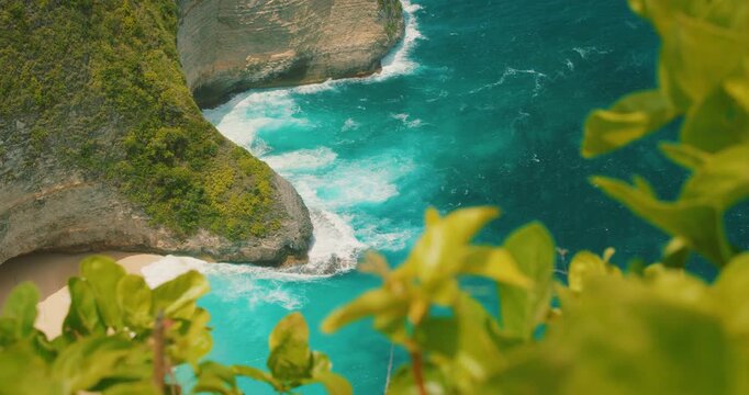 Green tropical leaves framing dramatic Kelingking Beach rock formation in Nusa Penida Bali