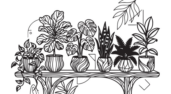 Minimalist indoor potted plants on wooden shelf vector illustration with monstera fiddle leaf fig and snake plant for botanical home decor