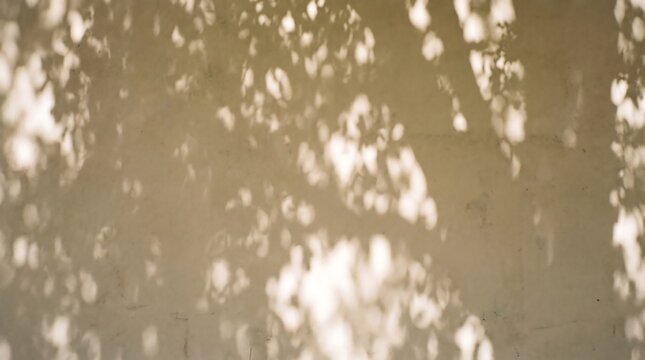 Neutral stucco wall with tree leaf shadows background