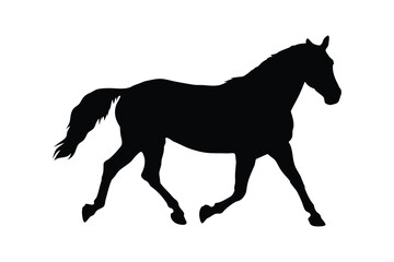 Running horse black silhouette vector illustration, black horse silhouette, horse running with flowing mane and tail, horse head silhouette equestrian art © VectorEliteX