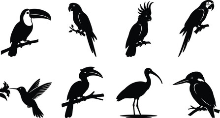 Tropical birds black silhouette icon set featuring toucan parrot cockatoo macaw hummingbird hornbill ibis and kingfisher perched on branches © Mst Shamima
