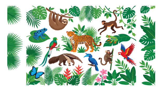 Tropical rainforest animals set with cute jaguar sloth monkey parrot toucan anteater and jungle leaves cartoon vector illustration
