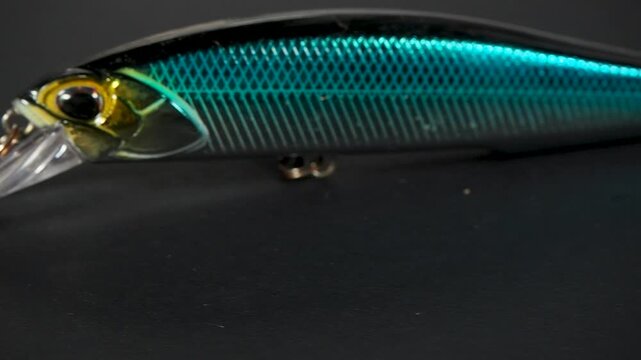 Realistic minnow fishing lure tracking shot