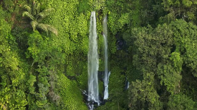 Sendang Gile Waterfall flows down a verdant cliff face, surrounded by dense tropical foliage and an abundance of green trees in vibrant natural landscape of Lombok, Indonesia. Aerial view drone shot