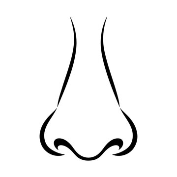 Premium collection of minimalist human eye and nose black silhouette vector illustrations featuring anatomy, perception, beauty and healthcare concepts isolated on white background.