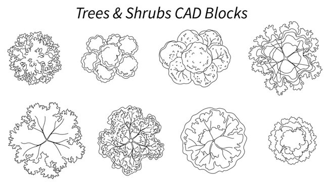 Architectural Trees and Shrubs CAD Blocks Top View Collection for Landscape Plans, Site Design, Garden Layouts and AutoCAD Drawings
