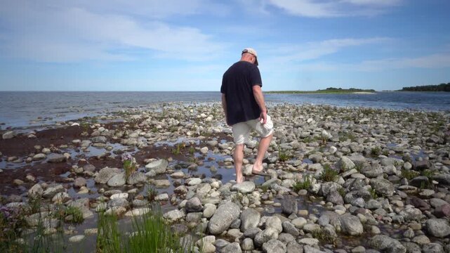 Lange Erik, Sweden A man walks on the rocky and grassy Baltic Sea shore on the northern tip of the Oland island in summer.