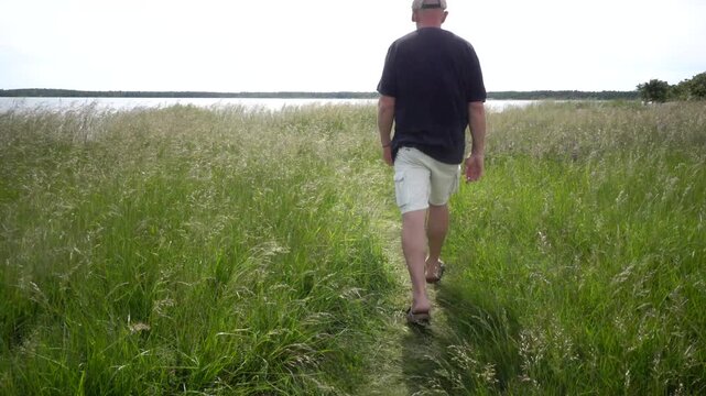 Lange Erik, Sweden A man walks on the rocky and grassy Baltic Sea shore on the northern tip of the Oland island in summer.
