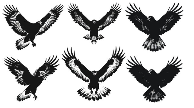 Majestic eagle silhouettes set, black flying hawk vector illustrations, 6 predatory bird icons with spread wings for logo design and outdoor branding