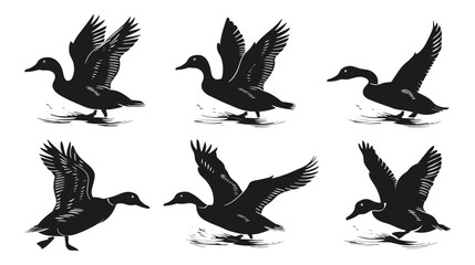 Obraz premium Vintage flying duck silhouettes, set of 6 mallard waterfowl vector illustrations, rustic black bird icons for hunting and nature design