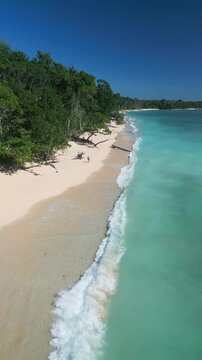 Lush tropical coastline with crystal water aerial view of winding shore framed by tall trees and vibrant canopy serene turquoise sea soft sand conservation area feel peaceful