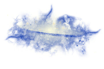Swirling Galaxy with Stars © BombdesigN