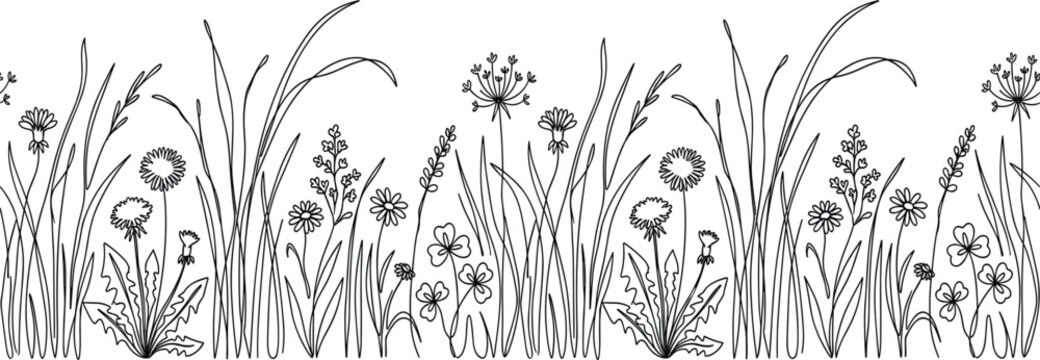 Seamless Wildflower Meadow Line Art Border Vector Illustration Featuring Dandelions, Grass, Daisies, and Clover for Botanical Frame and Edge Designs