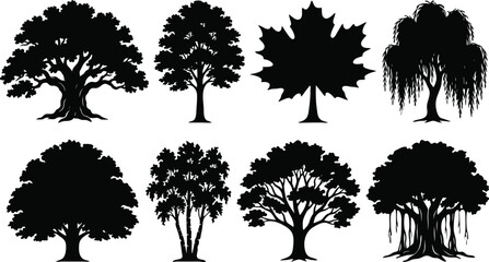 Fototapeta premium Diverse Deciduous and Ornamental Tree Silhouettes Collection Isolated on White
