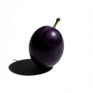 Single ripe dark purple plum casting a sharp shadow onto a plain solid white background.