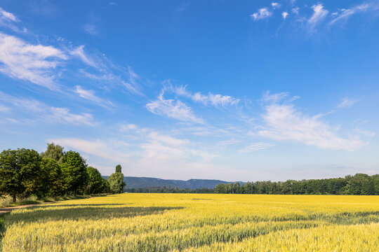 Sommer